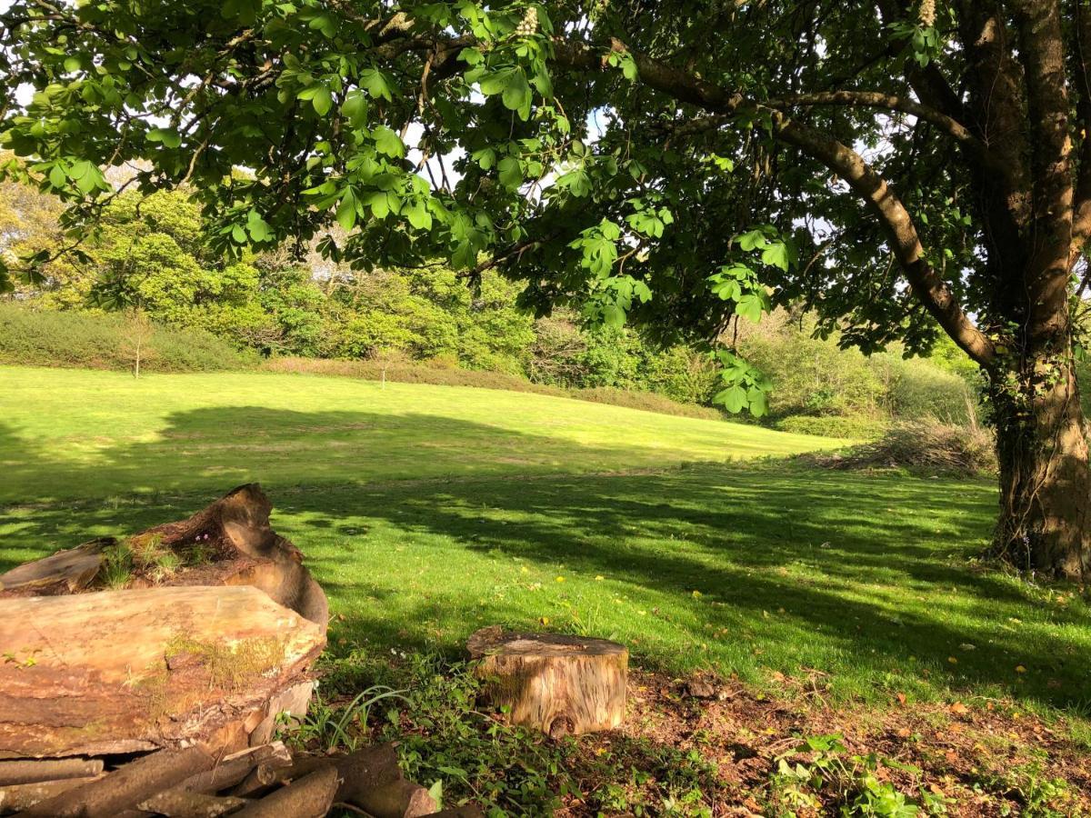 Red River Stables - Peaceful, Beautiful Grounds, Swimming Pool, Central Location For West Cornwall Camborne Εξωτερικό φωτογραφία