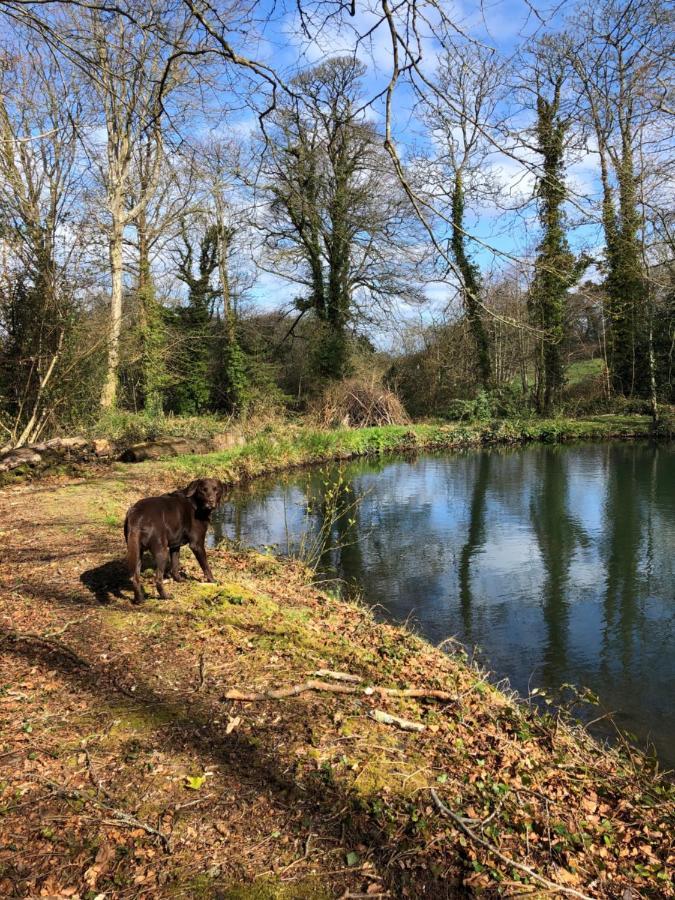 Red River Stables - Peaceful, Beautiful Grounds, Swimming Pool, Central Location For West Cornwall Camborne Εξωτερικό φωτογραφία